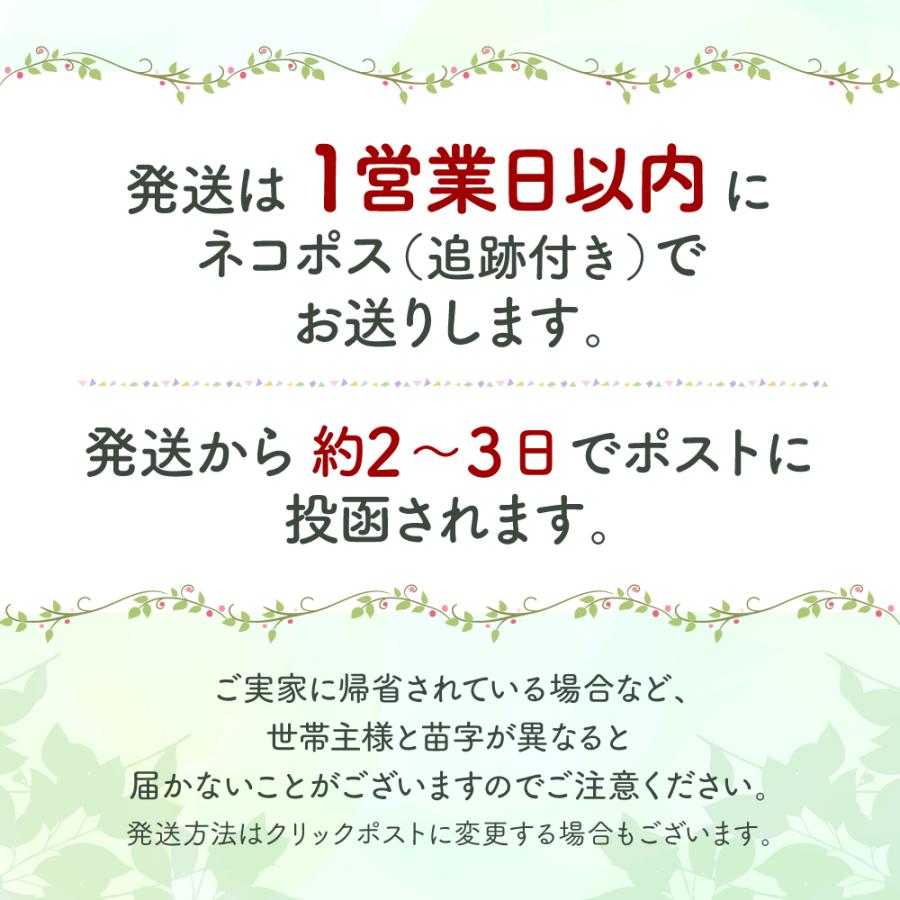 【レビュー特典付】 ジャグアタトゥーシール 2枚セット 腕用 2週間 持続 ジャグアタトゥー トライバル ヘナタトゥー タトゥーシール リアル 41x15cm F - 画像 (2)