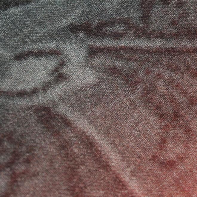 ストール インド製 カシミヤ シルク混 レディース ギフト プレゼント - 画像 (2)