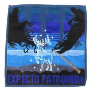 ハリーポッター グッズ ミニタオル ワーナーブラザース 映画キャラクター ジャガードハンカチタオル