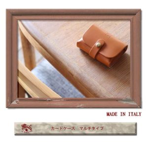 IL BISONTE イルビゾンテ カードケース 名刺入れ マルチタイプ  54_1_ 5432404393 メンズ レディース ( 商品番号 IB-34-04393 )