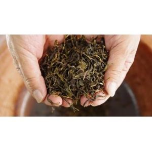 ふるさと納税 熊野市 熊野番茶染め　シルクオーガンジースカーフ　金茶色(ミョウバン媒染)